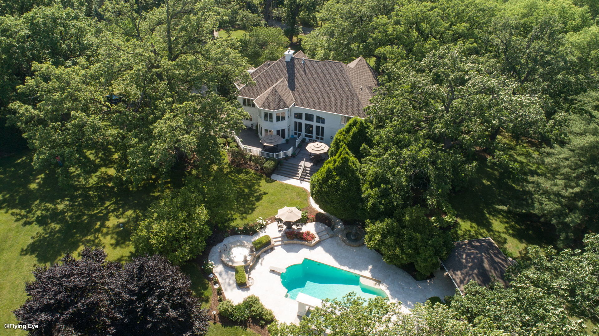 25565 South Tehle Road Elwood, IL 60421 - Photo 66 of 68 an aerial view of a house with a yard and a large tree