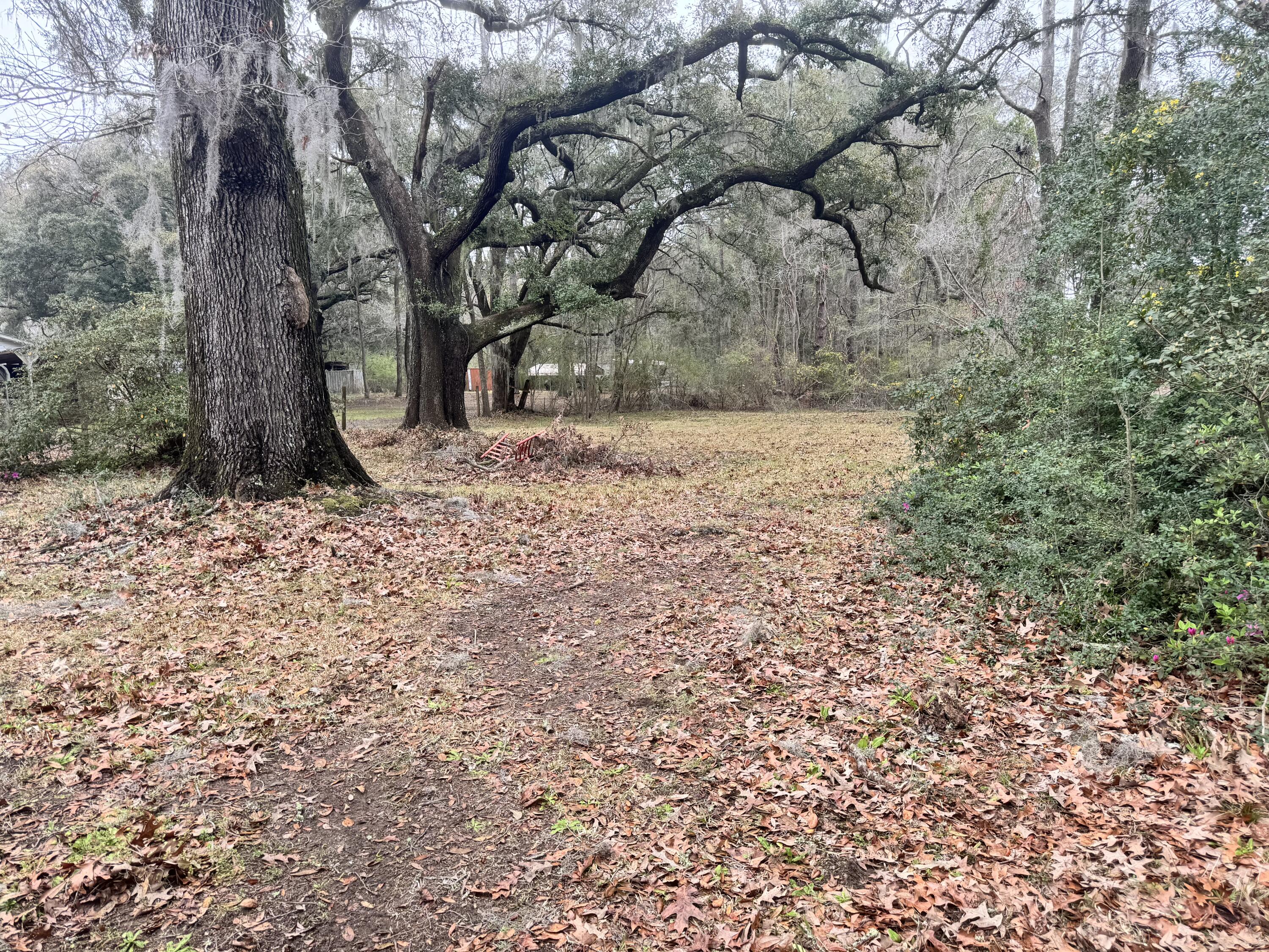 2075 River Road Johns Island, SC 29455 - Photo 3 of 4 image_50431745