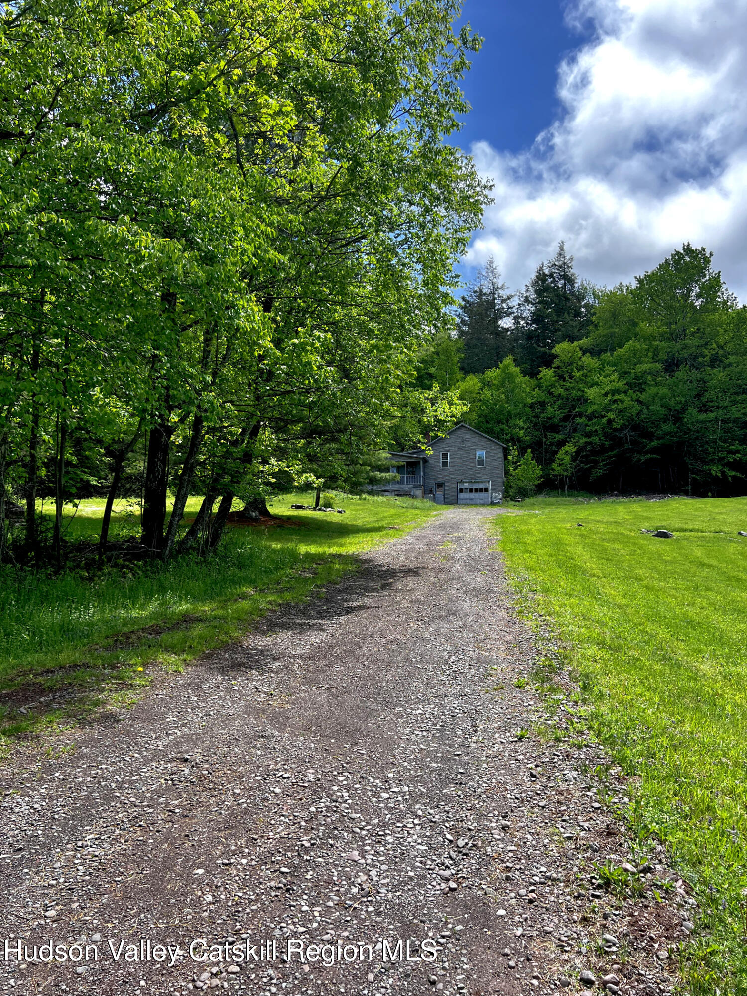 217 Platte Clove Road Elka Park, NY 12427 - Photo 4 of 18 a view of a park with large trees