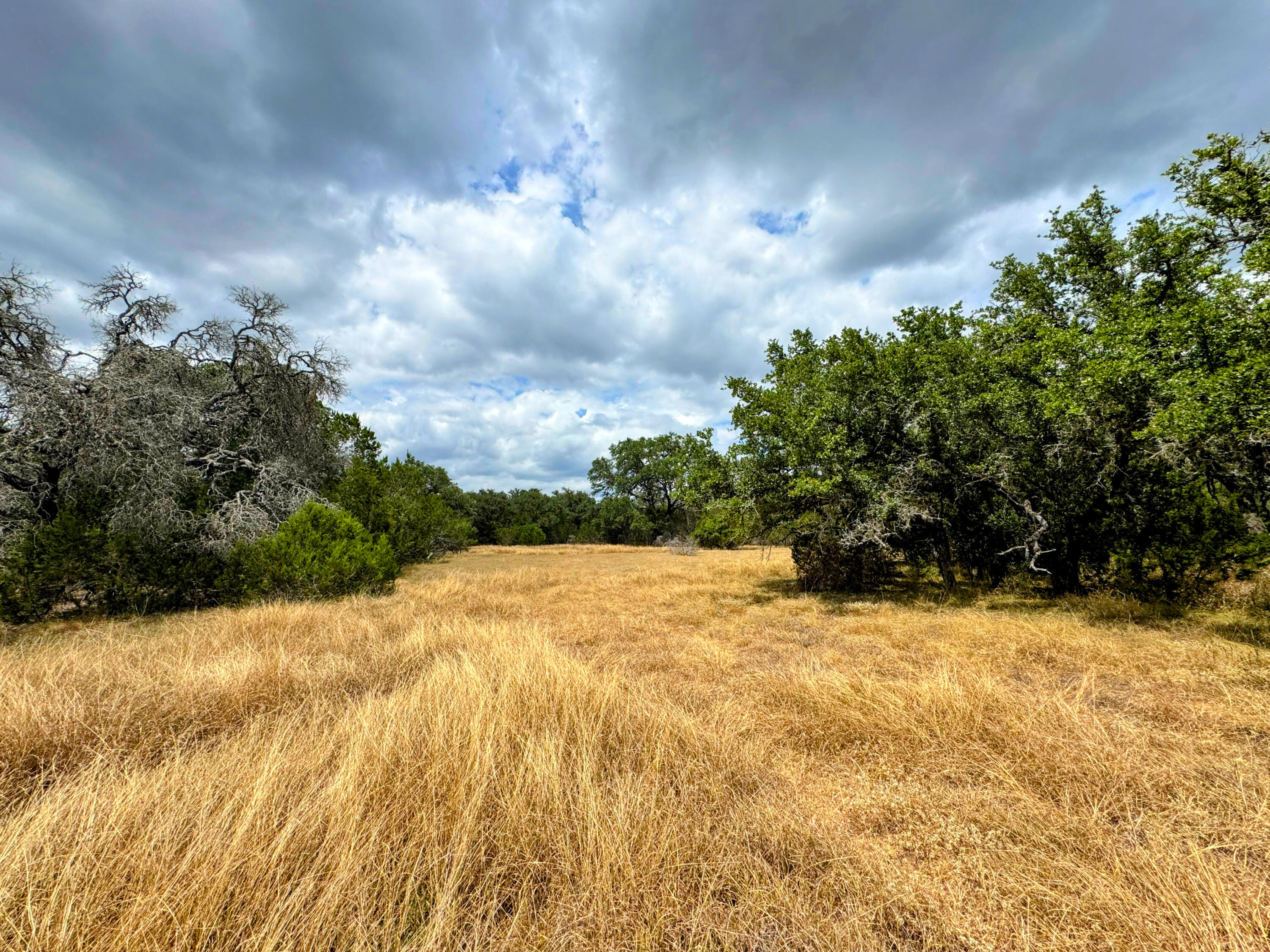 2775 Rust Spring Branch, TX 78070 - Photo 12 of 41 a view of swimming pool with an outdoor space