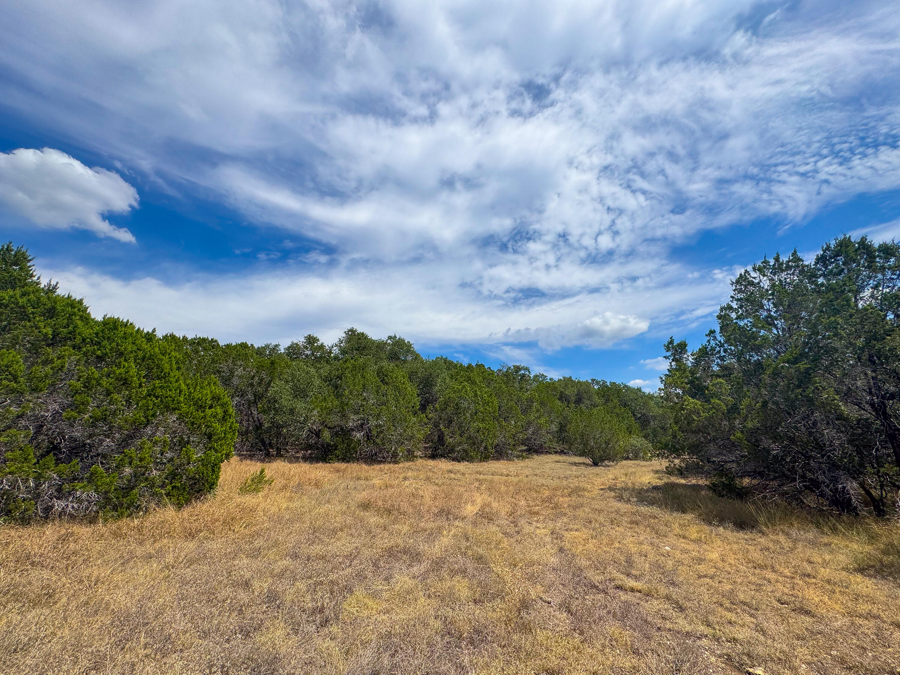 2775 Rust Spring Branch, TX 78070 - Photo 14 of 41 a view of a yard