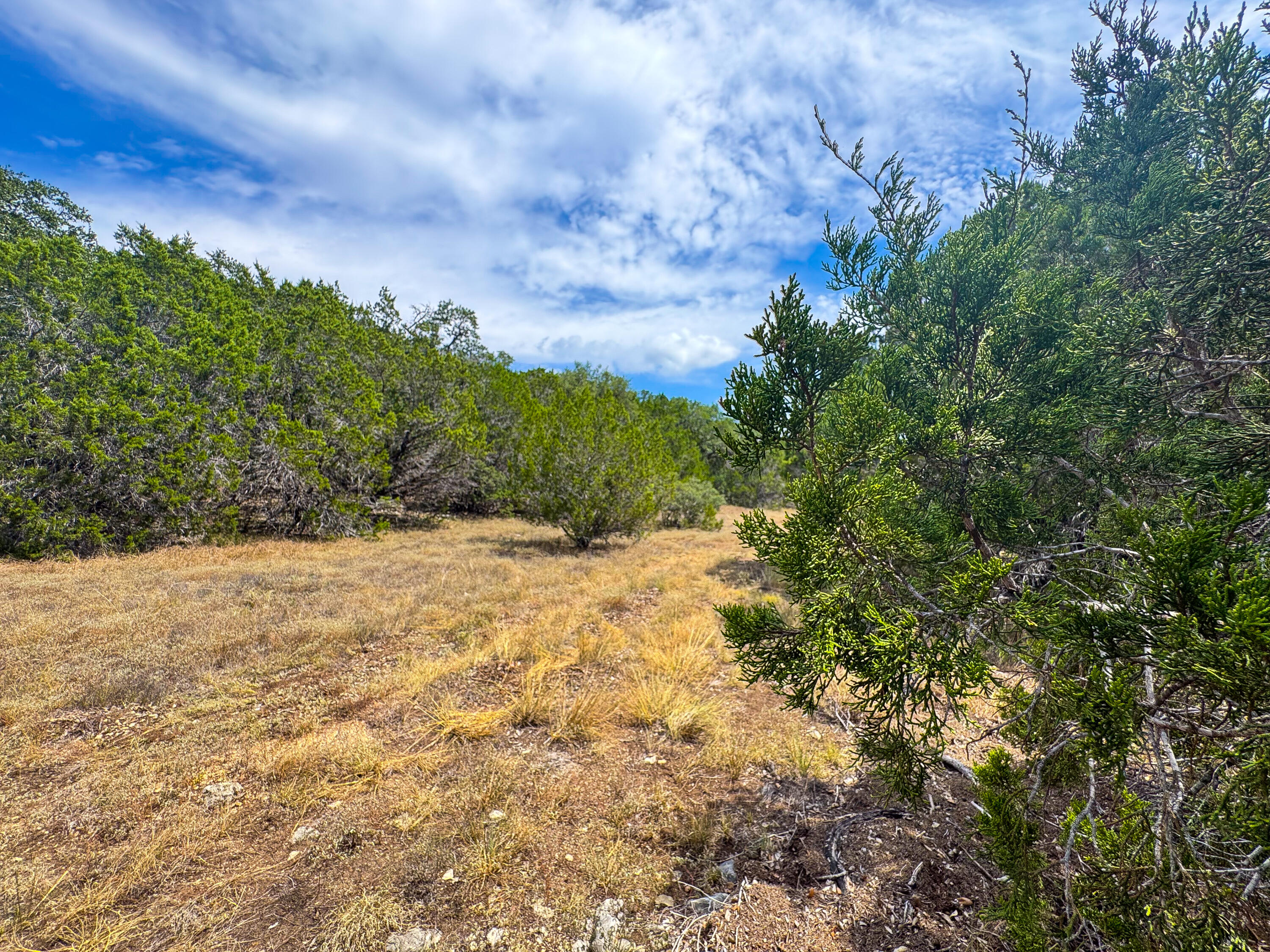 2775 Rust Spring Branch, TX 78070 - Photo 15 of 41 a view of a yard