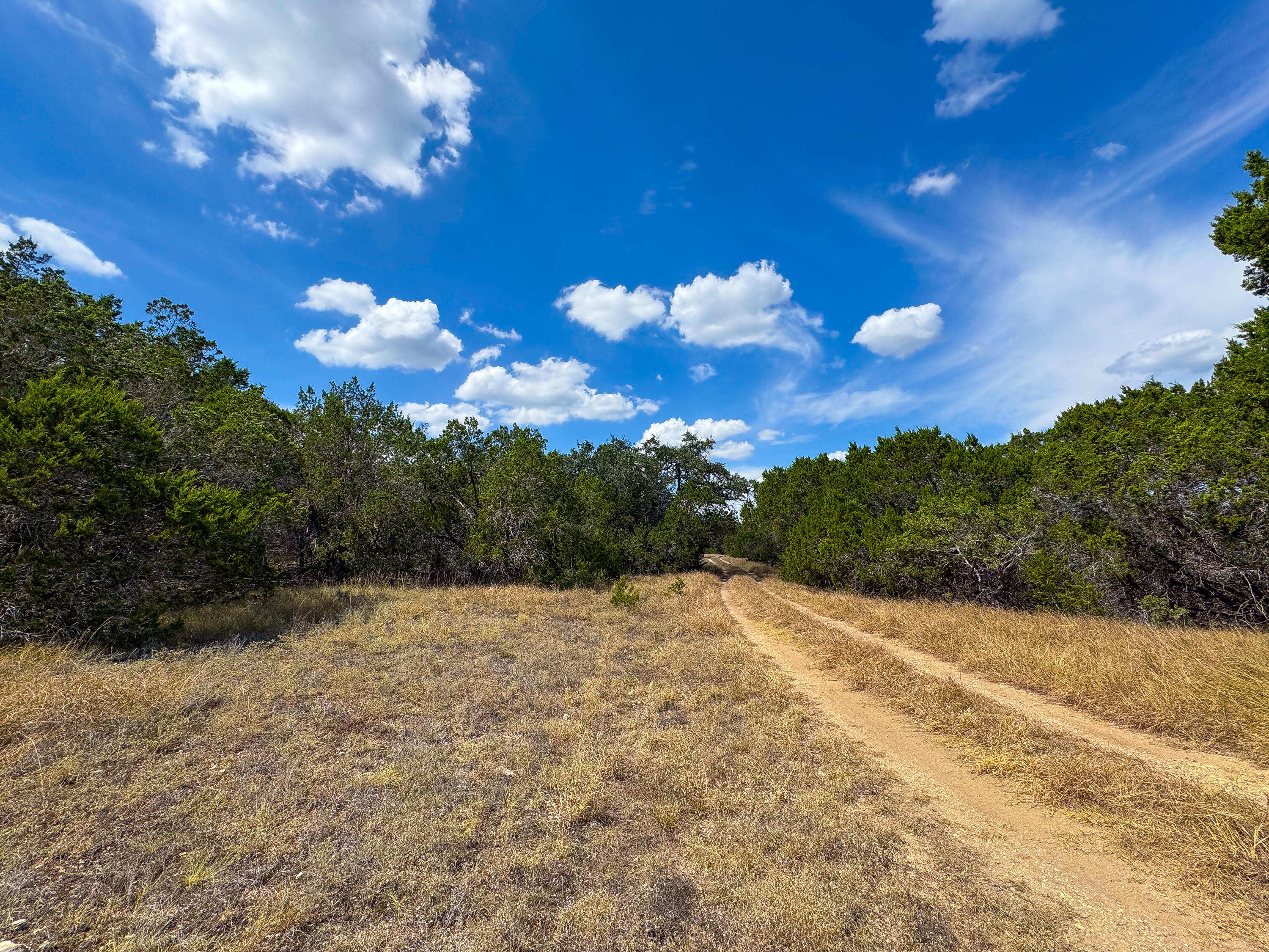 2775 Rust Spring Branch, TX 78070 - Photo 20 of 41 a view of a bunch of trees in the background