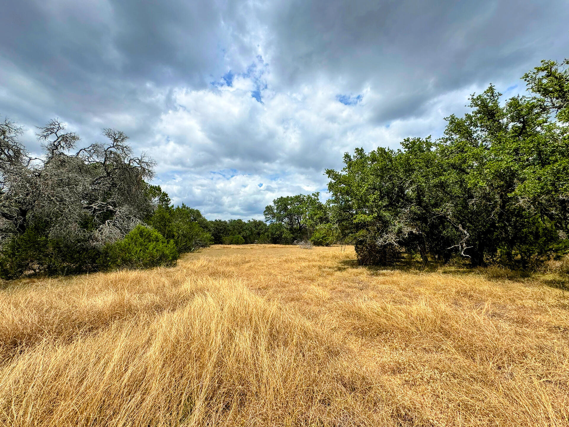 2775 Rust Spring Branch, TX 78070 - Photo 29 of 41 a view of swimming pool with an outdoor space