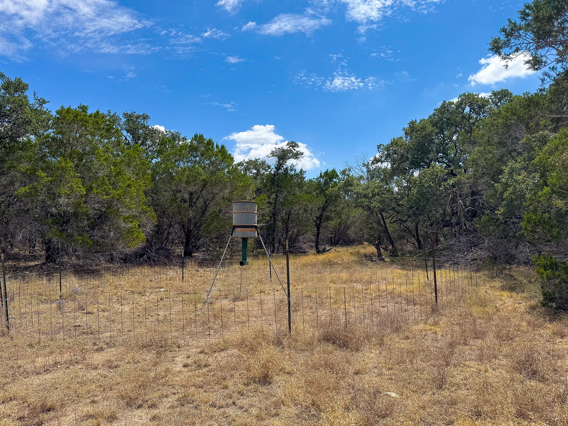 2775 Rust Spring Branch, TX 78070 - Photo 32 of 41 a view of a yard with a tree