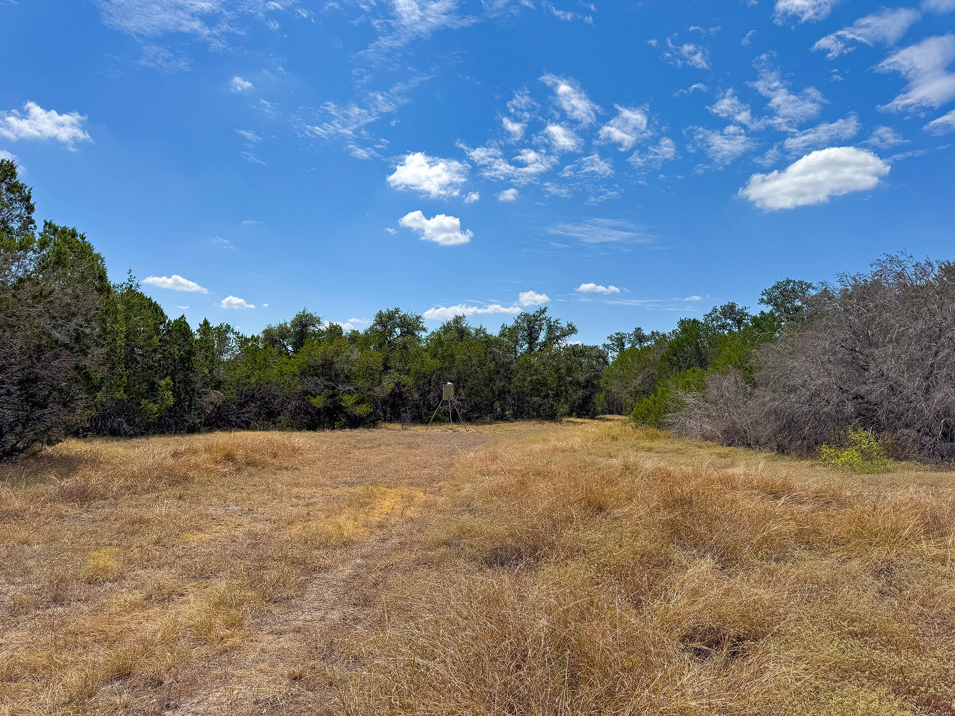 2775 Rust Spring Branch, TX 78070 - Photo 33 of 41 a view of an outdoor space with yard
