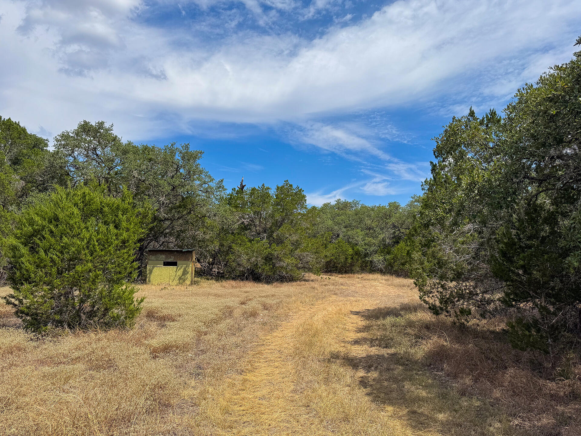 2775 Rust Spring Branch, TX 78070 - Photo 34 of 41 a view of a dry yard covered with snow in the background