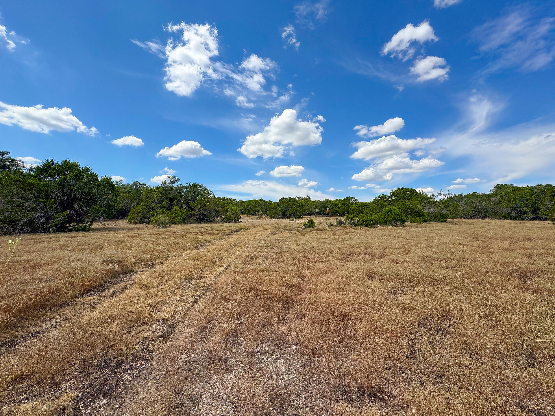 2775 Rust Spring Branch, TX 78070 - Photo 38 of 41 a view of a big yard with an outdoor space