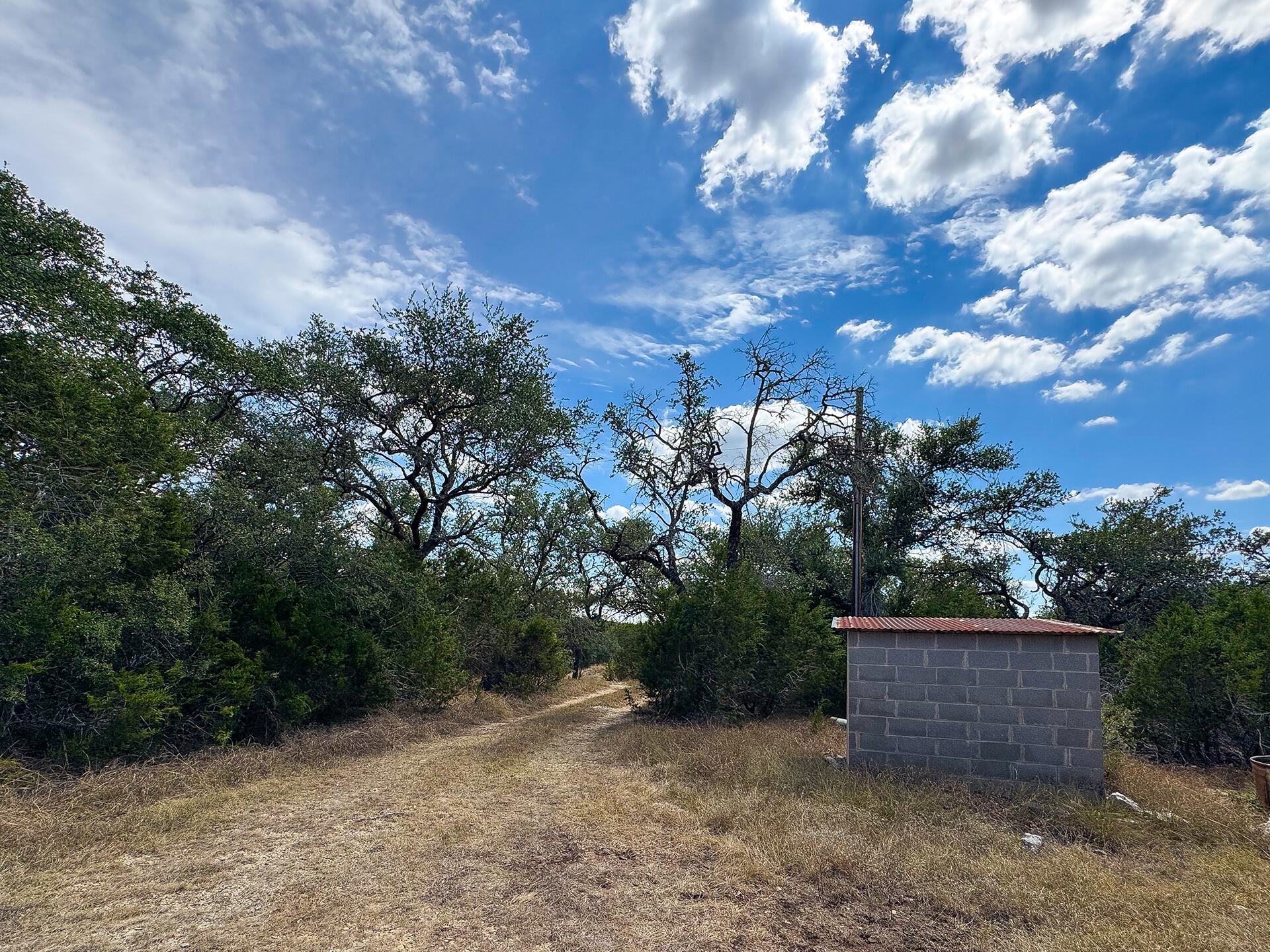 2775 Rust Spring Branch, TX 78070 - Photo 39 of 41 a view of a backyard