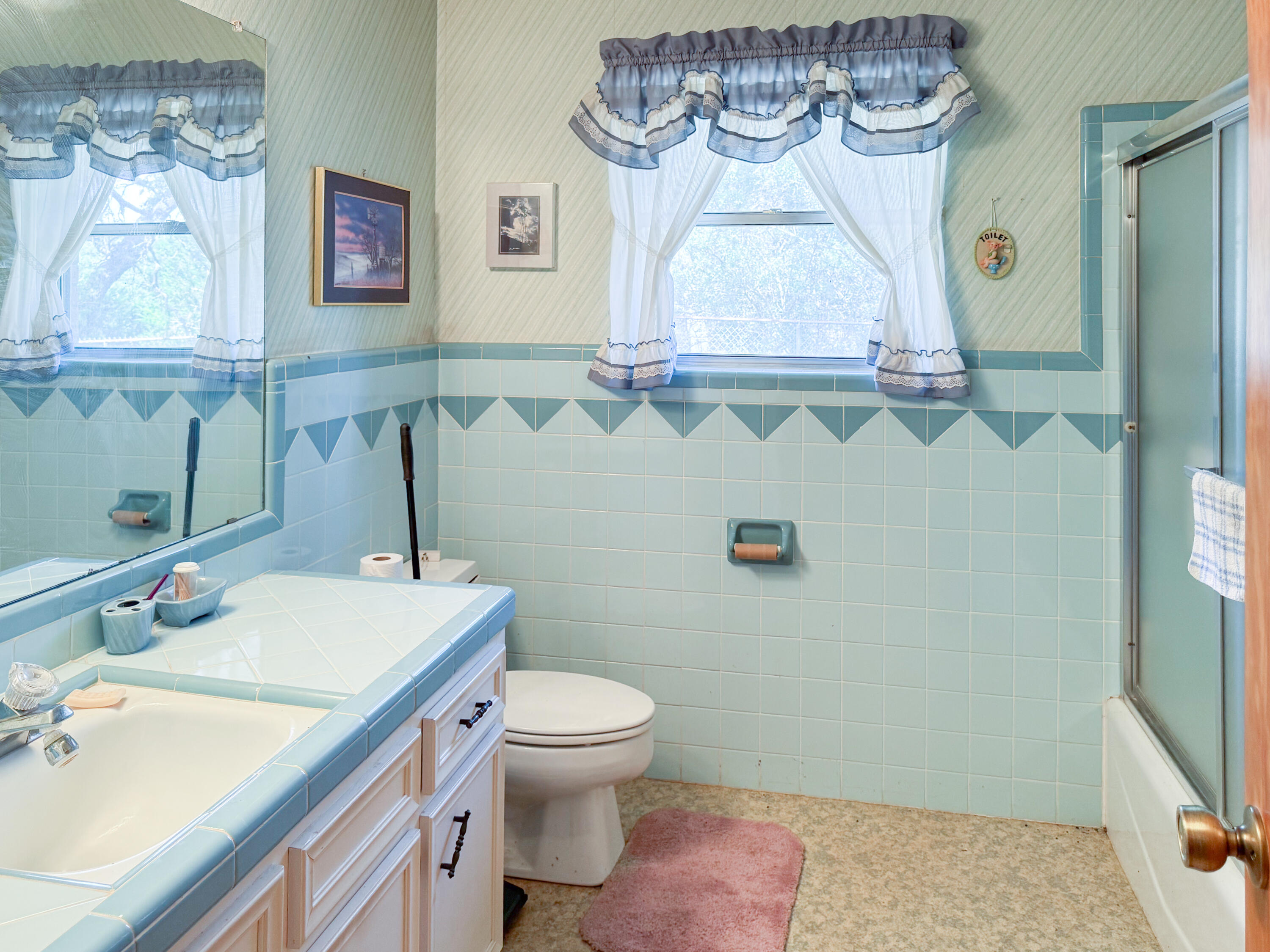 2775 Rust Spring Branch, TX 78070 - Photo 8 of 41 a bathroom with a sink a toilet and a mirror