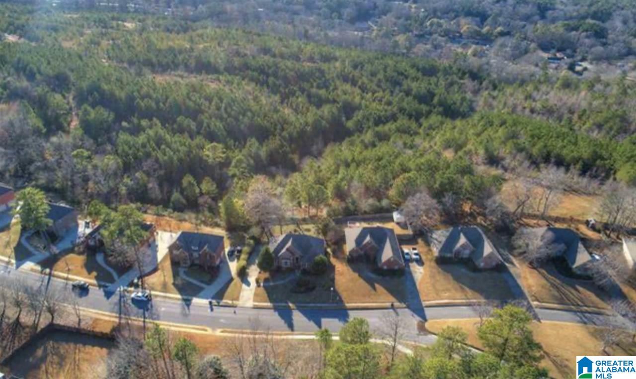 219 Grande View Parkway Alabaster, AL 35114 - Photo 41 of 43