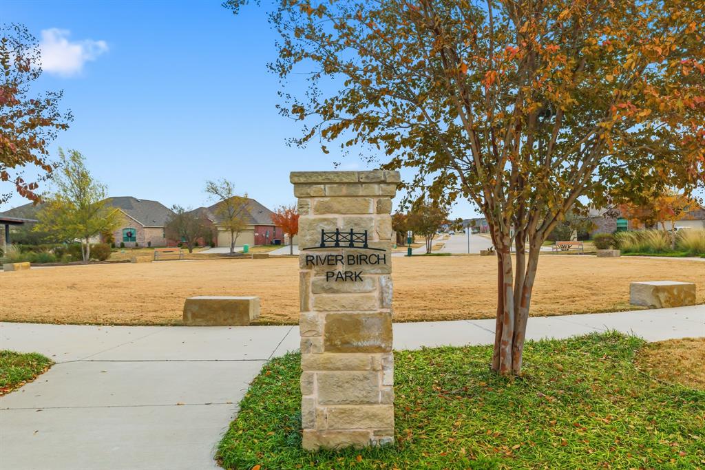 4916 Ascot Way Princeton, TX 75407 - Photo 36 of 39 a view of swimming pool with a yard and large trees
