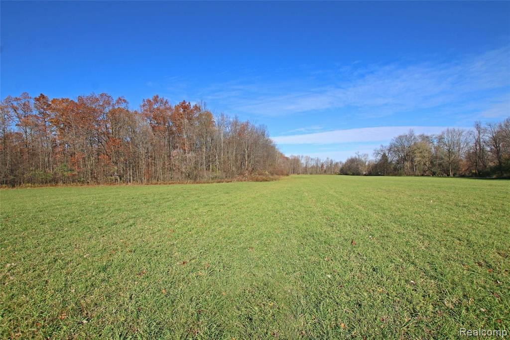 4451 East Mt Morris Road Mount Morris, MI 48458 - Photo 33 of 35