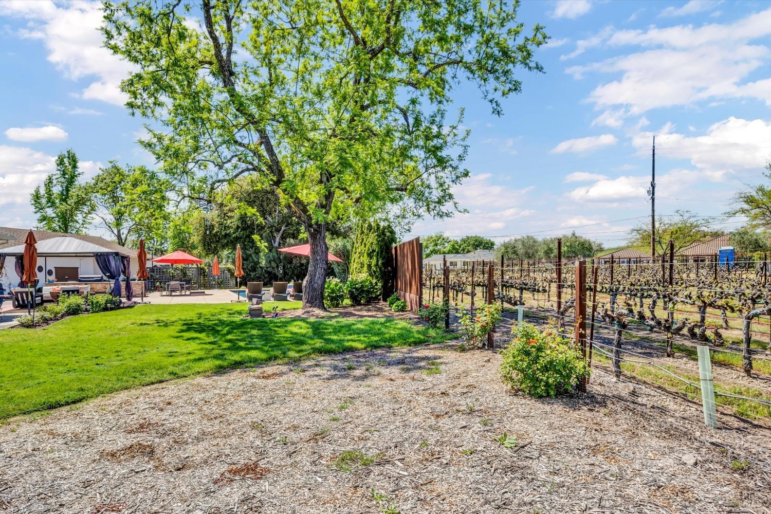 1790 McKinley Road Napa, CA 94558 - Photo 41 of 41
