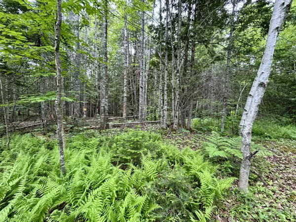 $55,000 | M5-l27-3 Marks Road, Albion, ME 04910