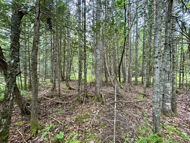 $55,000 | M5-l27-3 Marks Road, Albion, ME 04910