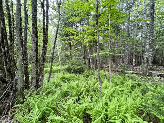 $55,000 | M5-l27-3 Marks Road, Albion, ME 04910