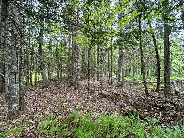 $55,000 | M5-l27-3 Marks Road, Albion, ME 04910