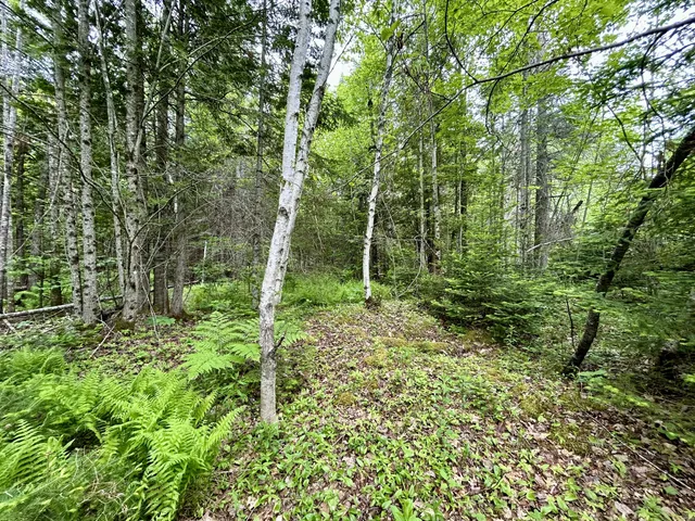 $55,000 | M5-l27-3 Marks Road, Albion, ME 04910