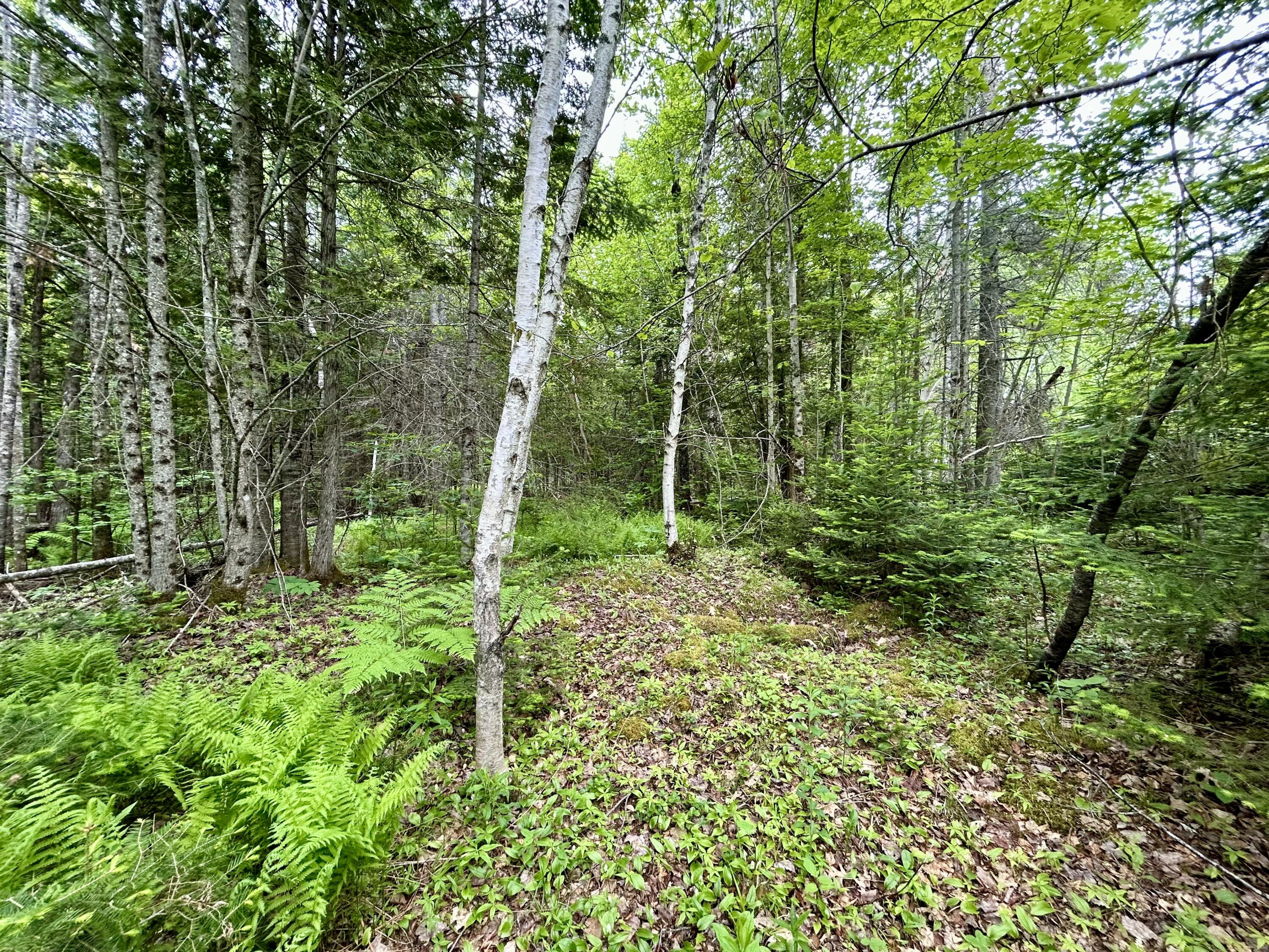 M5-l27-3 Marks Road Albion, ME 04910 - Photo 7 of 13 IMG_4992