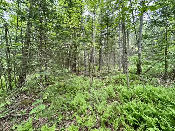 $55,000 | M5-l27-3 Marks Road, Albion, ME 04910