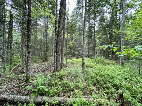 $55,000 | M5-l27-3 Marks Road, Albion, ME 04910