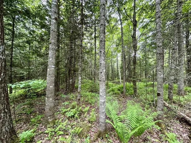 $55,000 | M5-l27-3 Marks Road, Albion, ME 04910