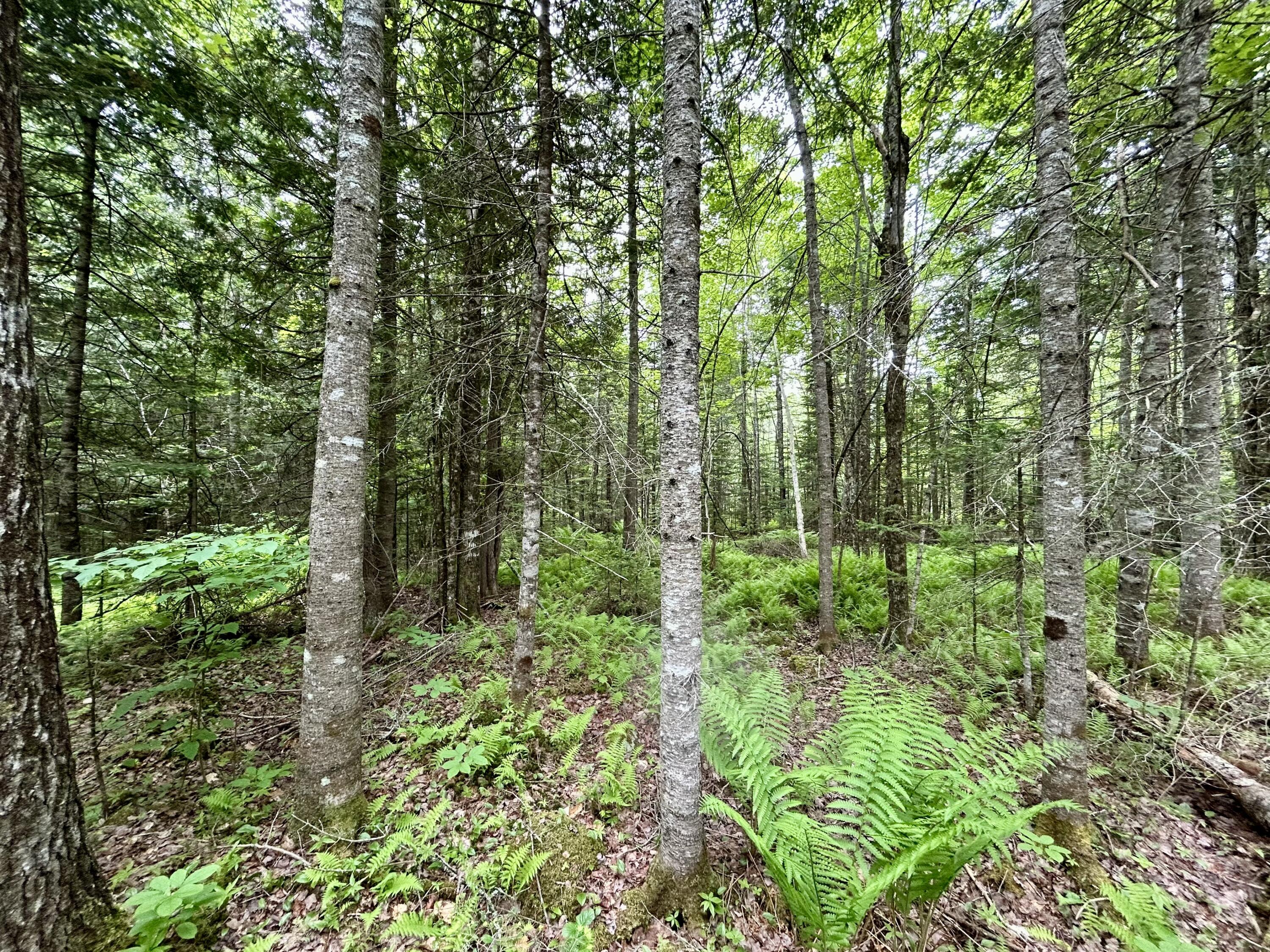 M5-l27-3 Marks Road Albion, ME 04910 - Photo 10 of 13 IMG_4990