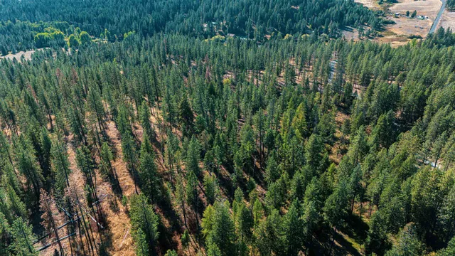 $2,248,000 | 21-xxx North Madison Road, Mead, WA 99021