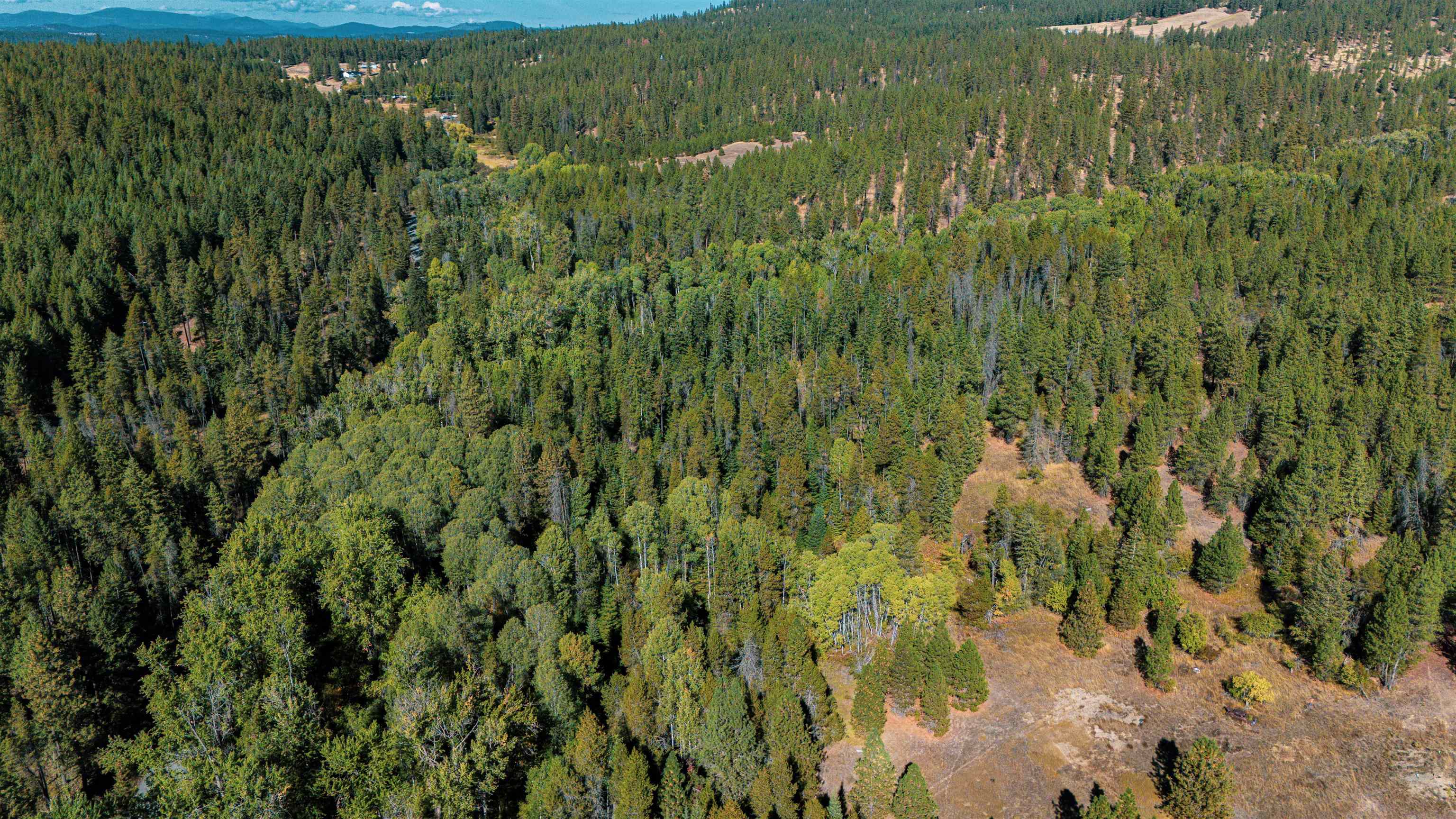 21-xxx North Madison Road Mead, WA 99021 - Photo 5 of 12