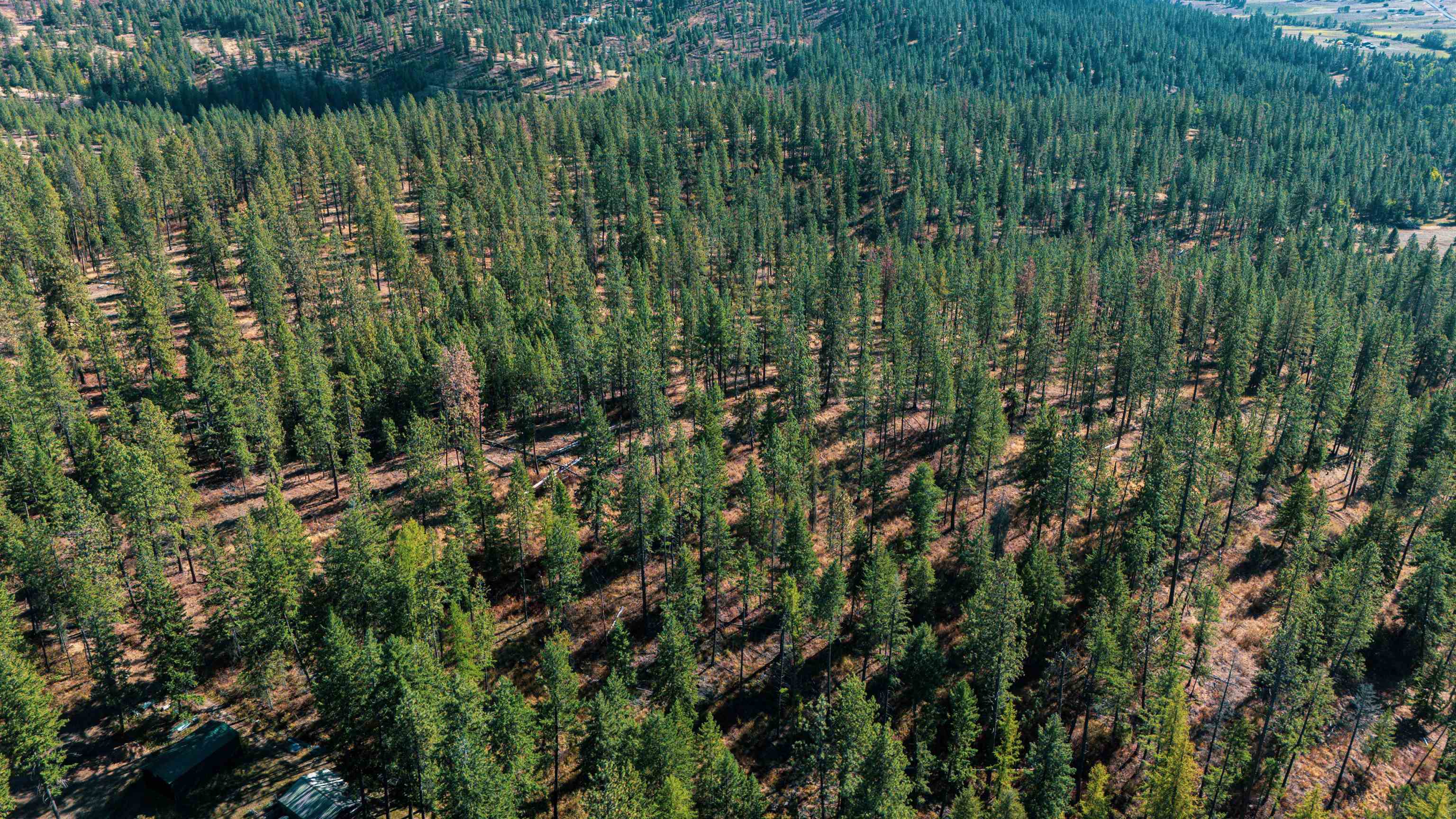 21-xxx North Madison Road Mead, WA 99021 - Photo 7 of 12