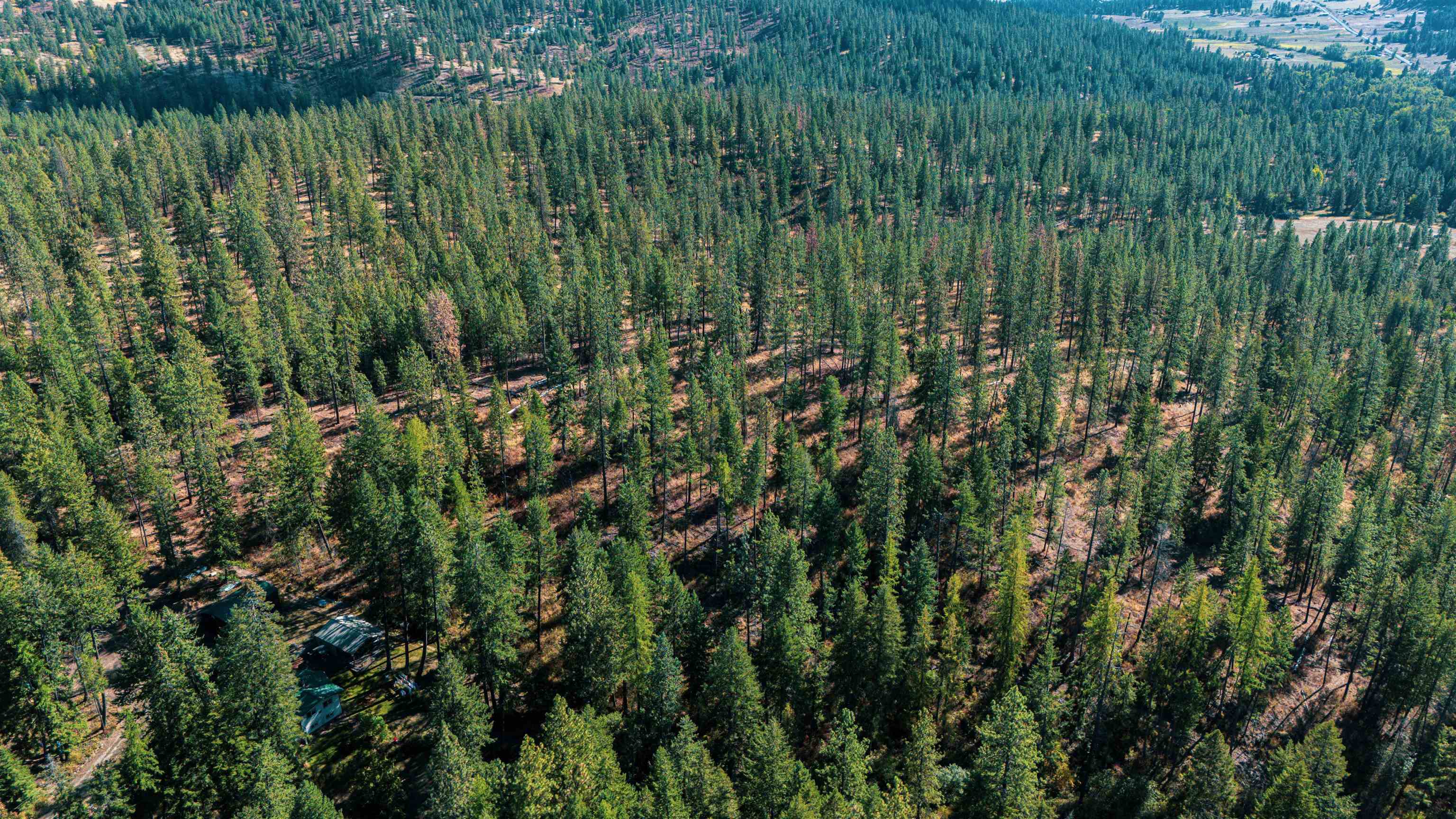 21-xxx North Madison Road Mead, WA 99021 - Photo 8 of 12