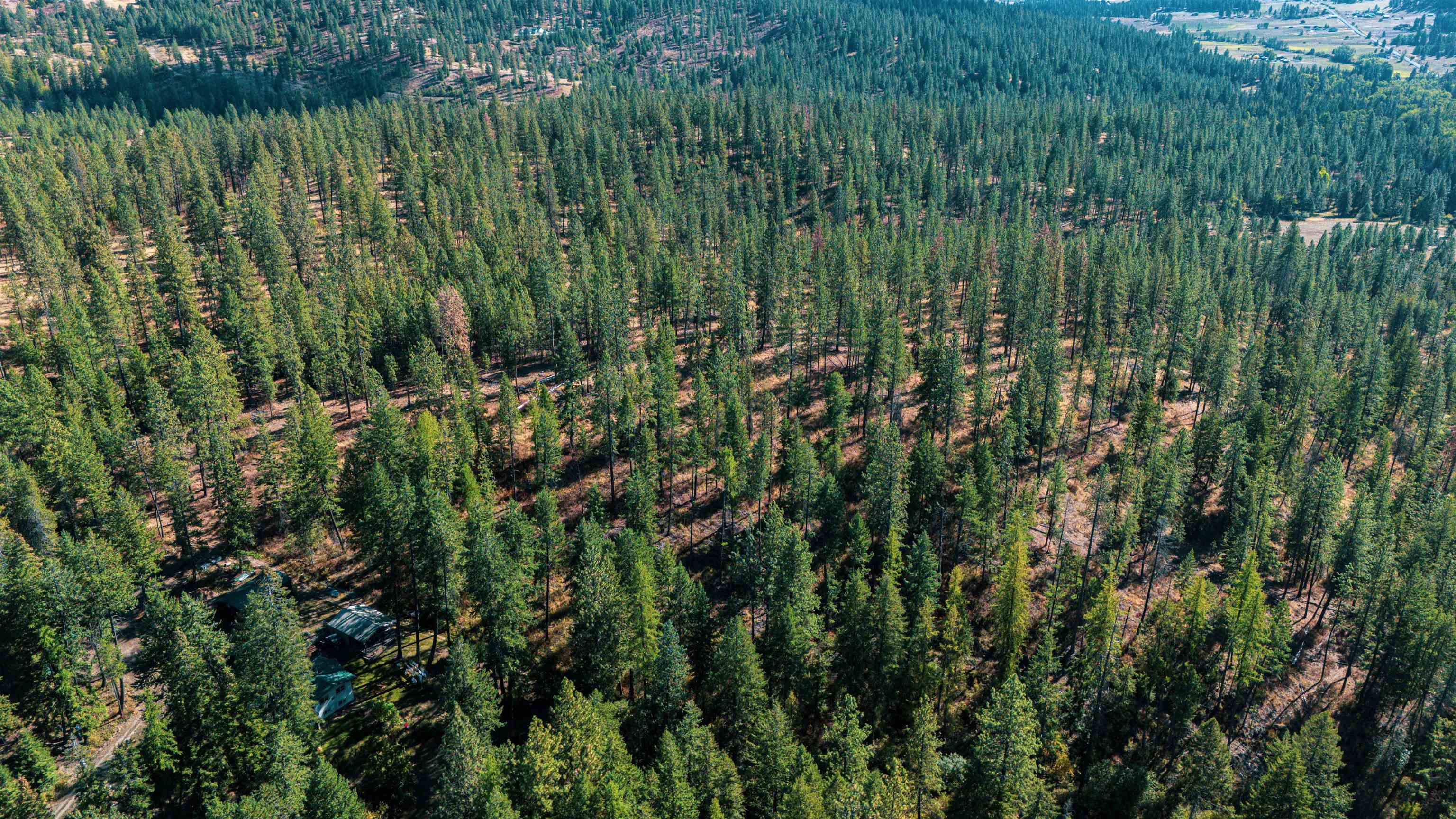 21-xxx North Madison Road Mead, WA 99021 - Photo 9 of 12