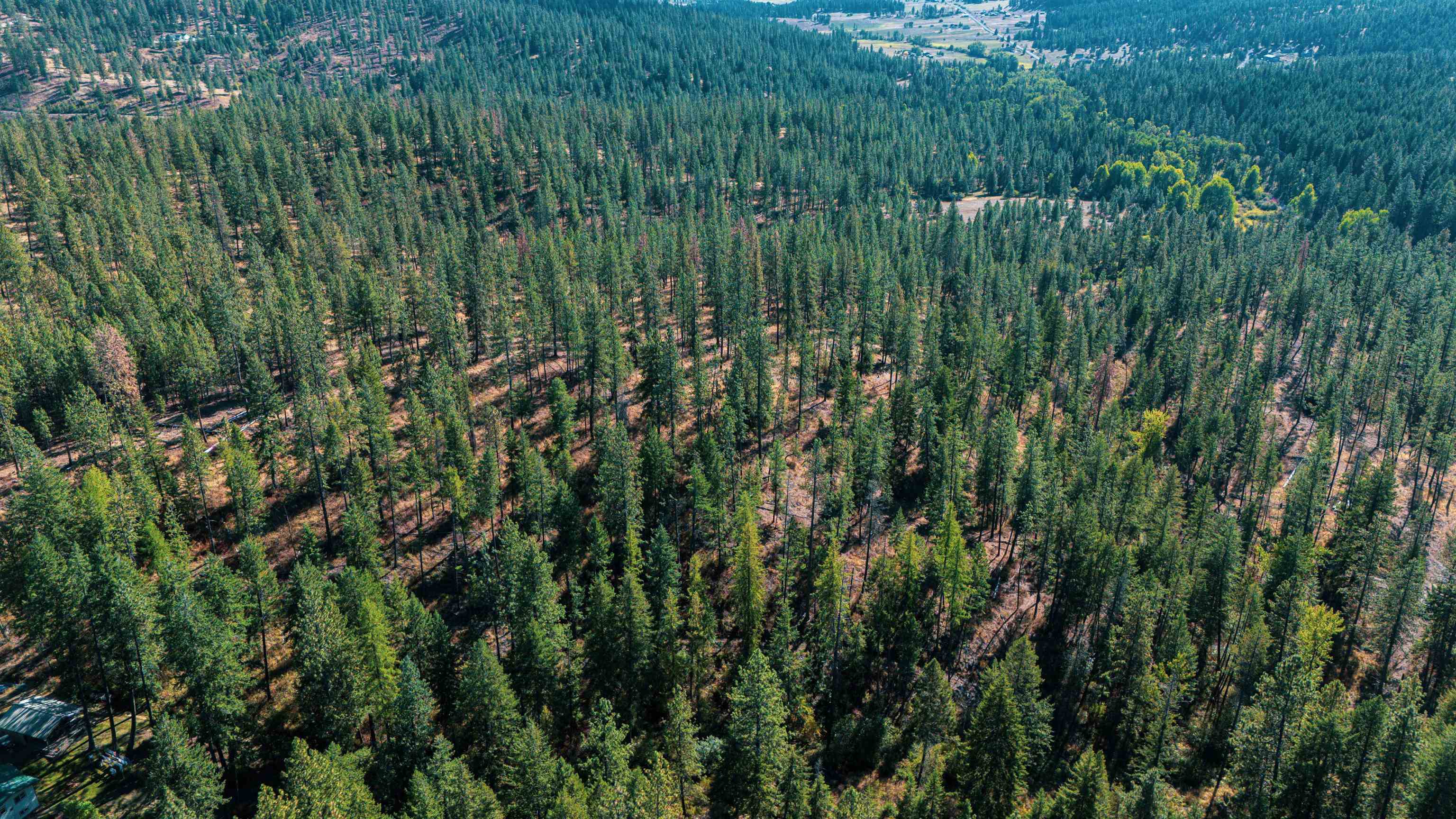 21-xxx North Madison Road Mead, WA 99021 - Photo 10 of 12