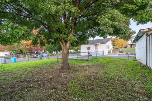 view of living room with yard