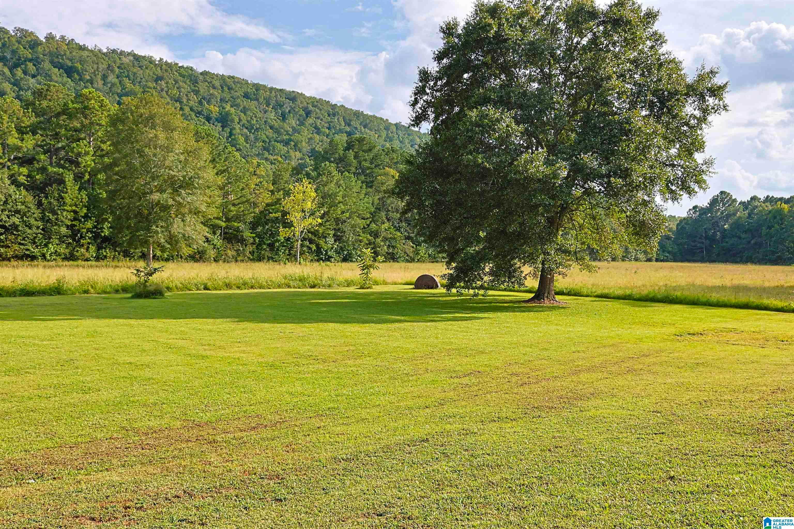 5149 Green Valley Road Southside, AL 35907 - Photo 67 of 74 Gallery Image 67