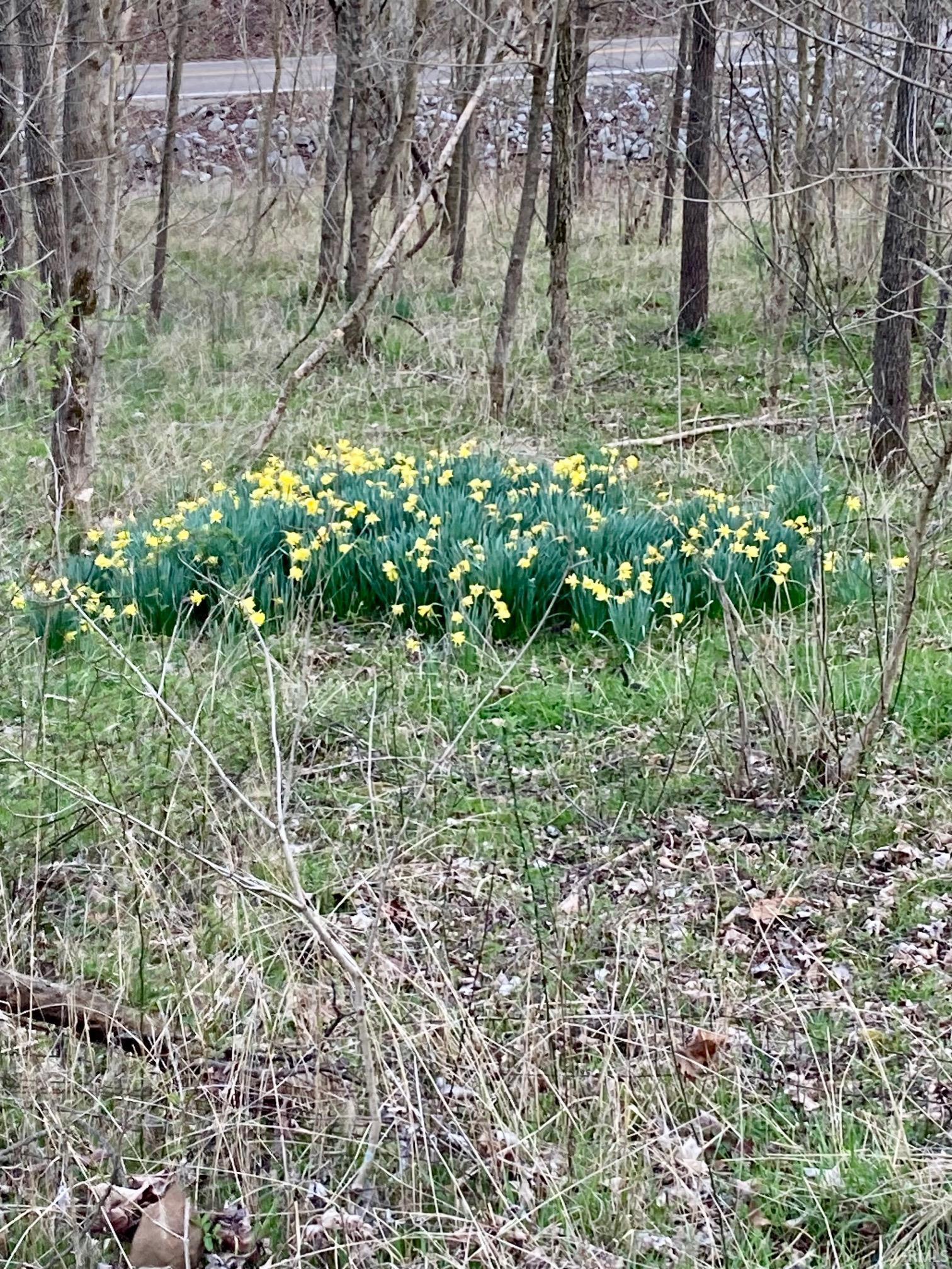 1063 High Water Road Bedford, IN 47421 - Photo 5 of 5