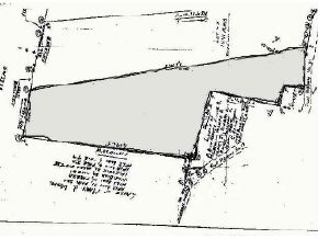 Lot 6 Phillips Hill Road Halifax, VT 05358 - Photo 1 of 1