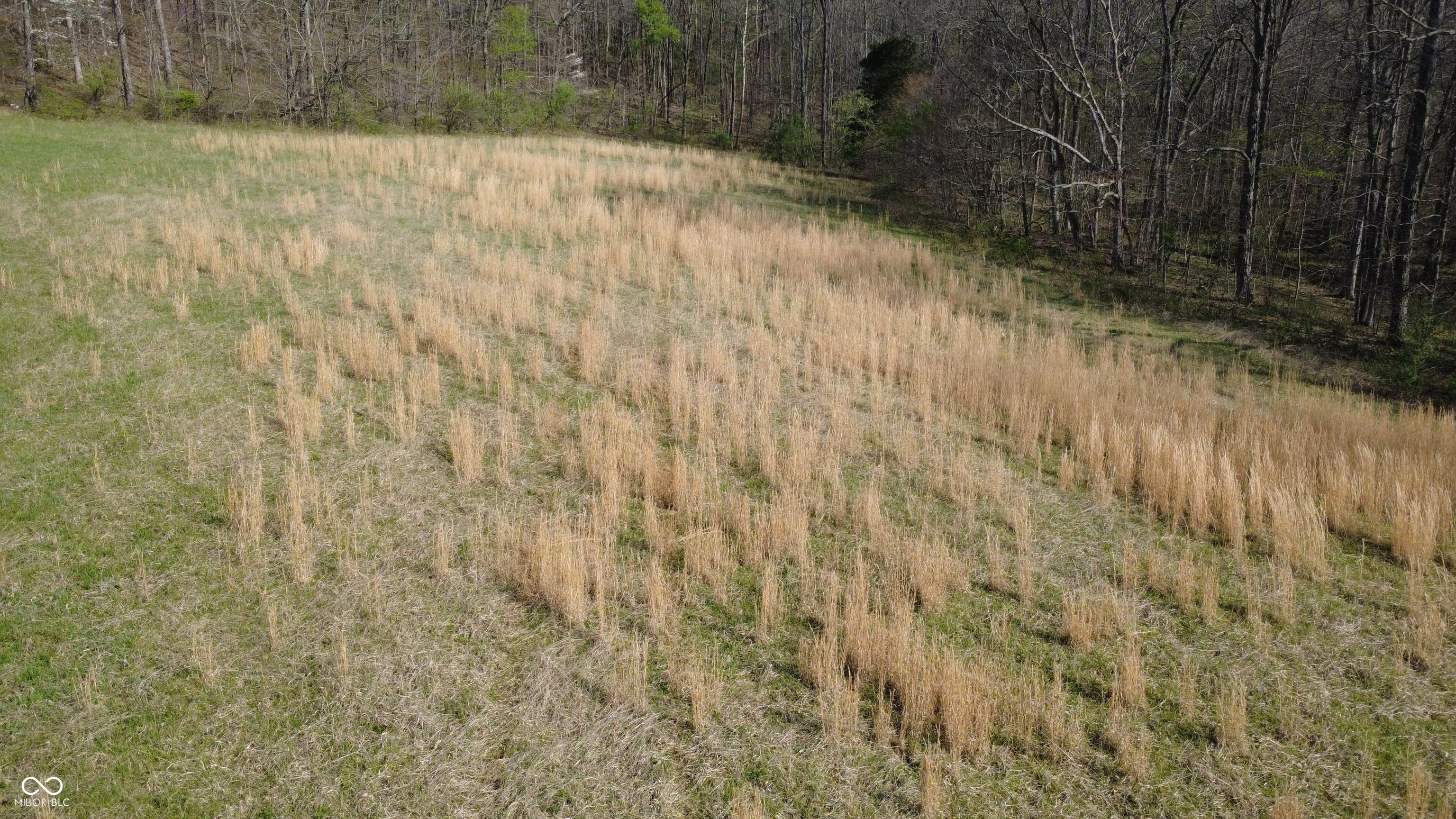 0 Coal Mine Road Bloomfield, IN 47424 - Photo 14 of 16