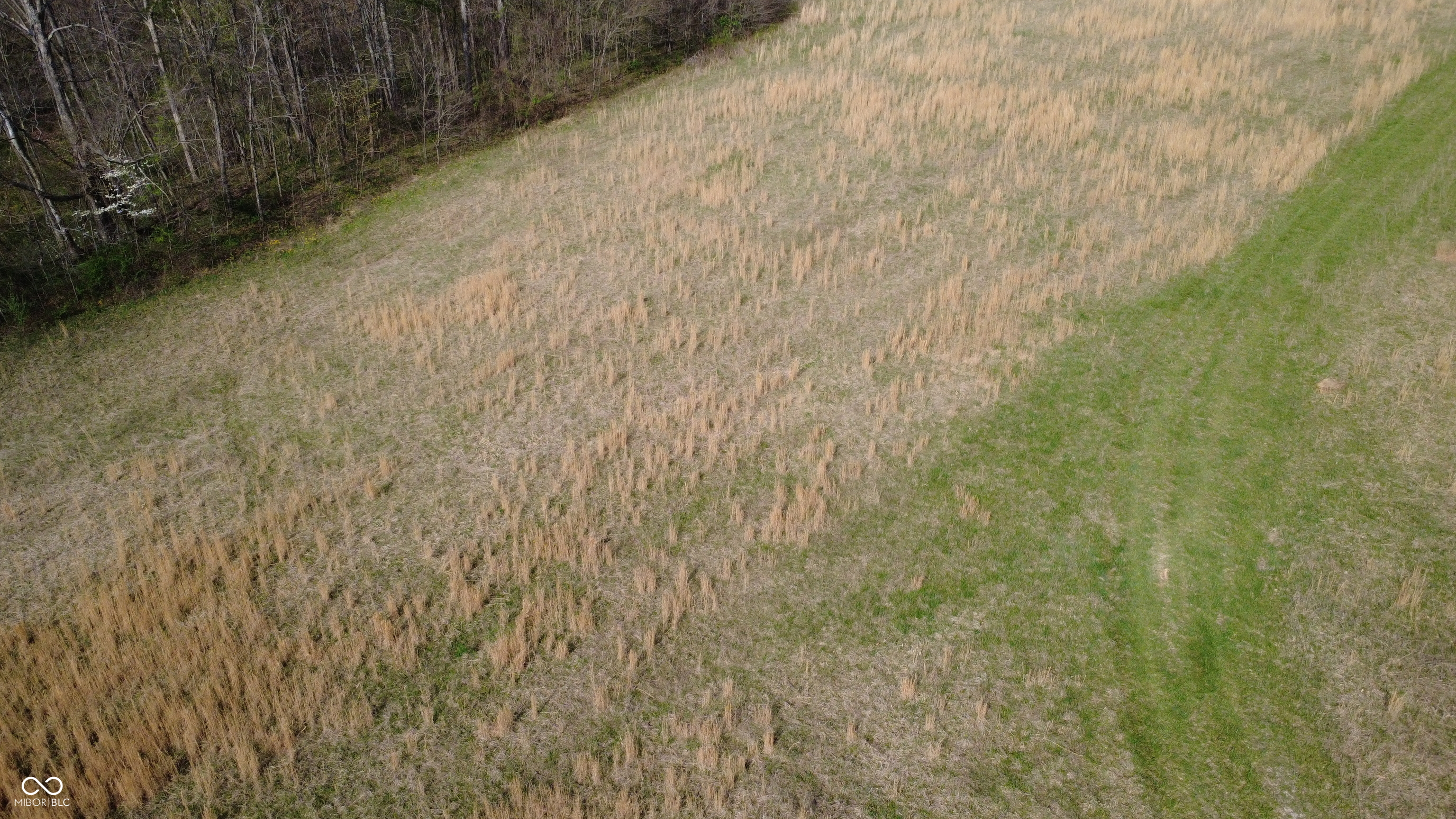 0 Coal Mine Road Bloomfield, IN 47424 - Photo 3 of 16