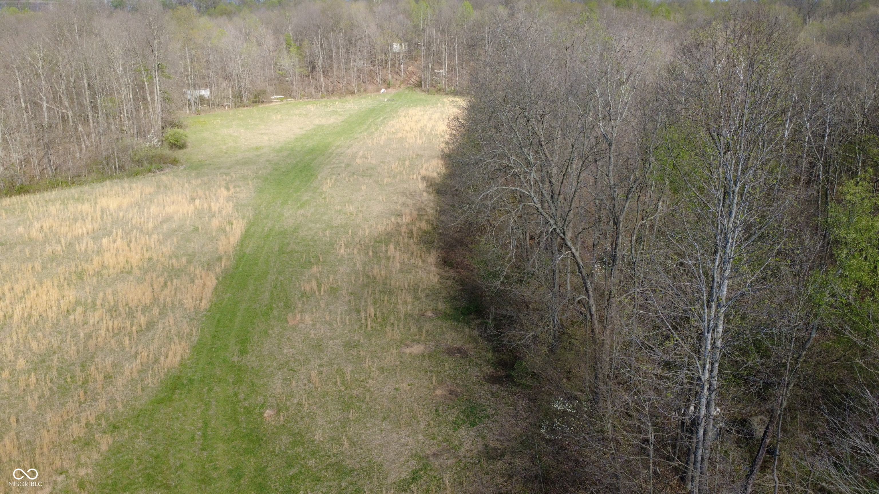 0 Coal Mine Road Bloomfield, IN 47424 - Photo 4 of 16