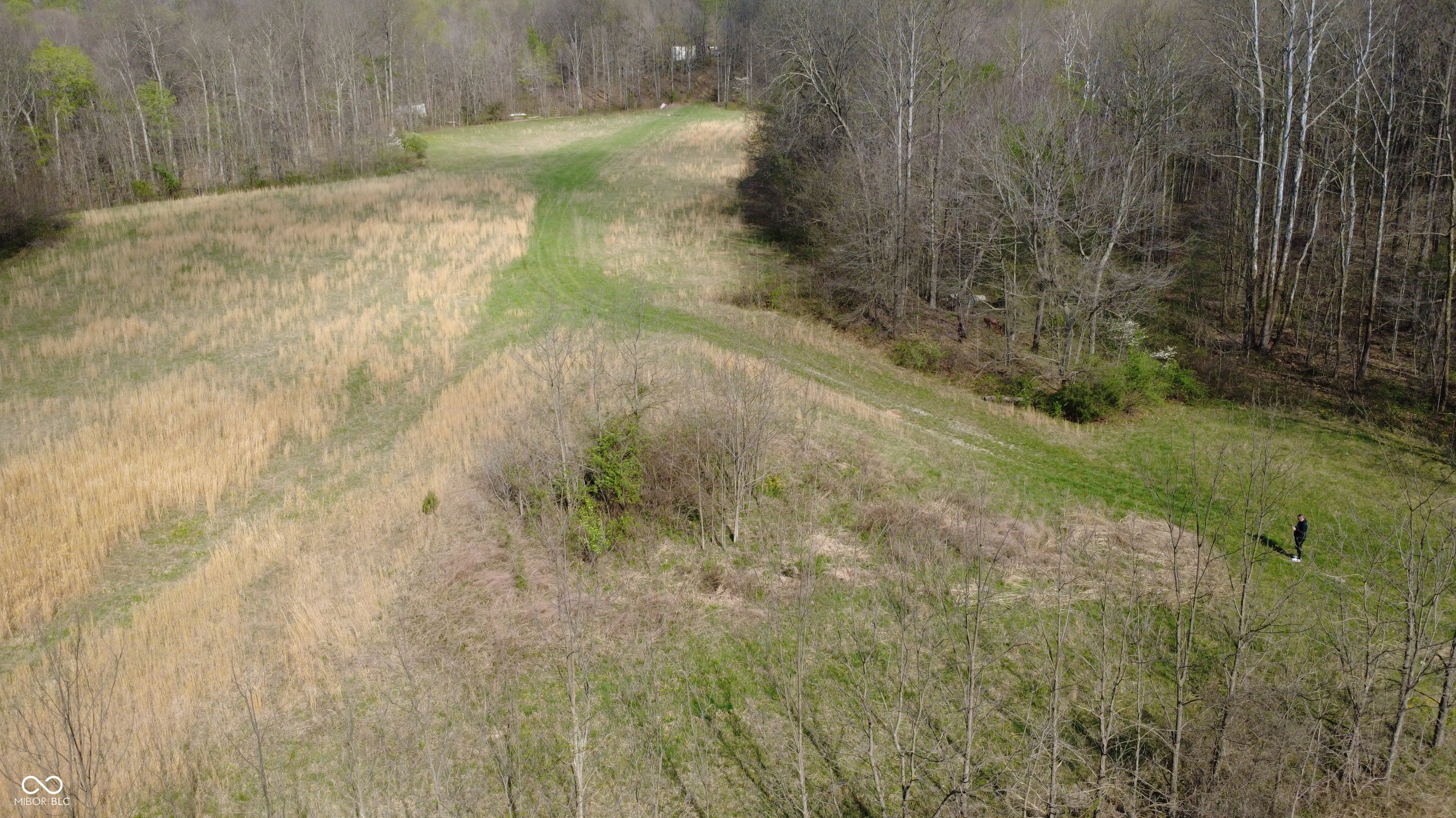 0 Coal Mine Road Bloomfield, IN 47424 - Photo 6 of 16