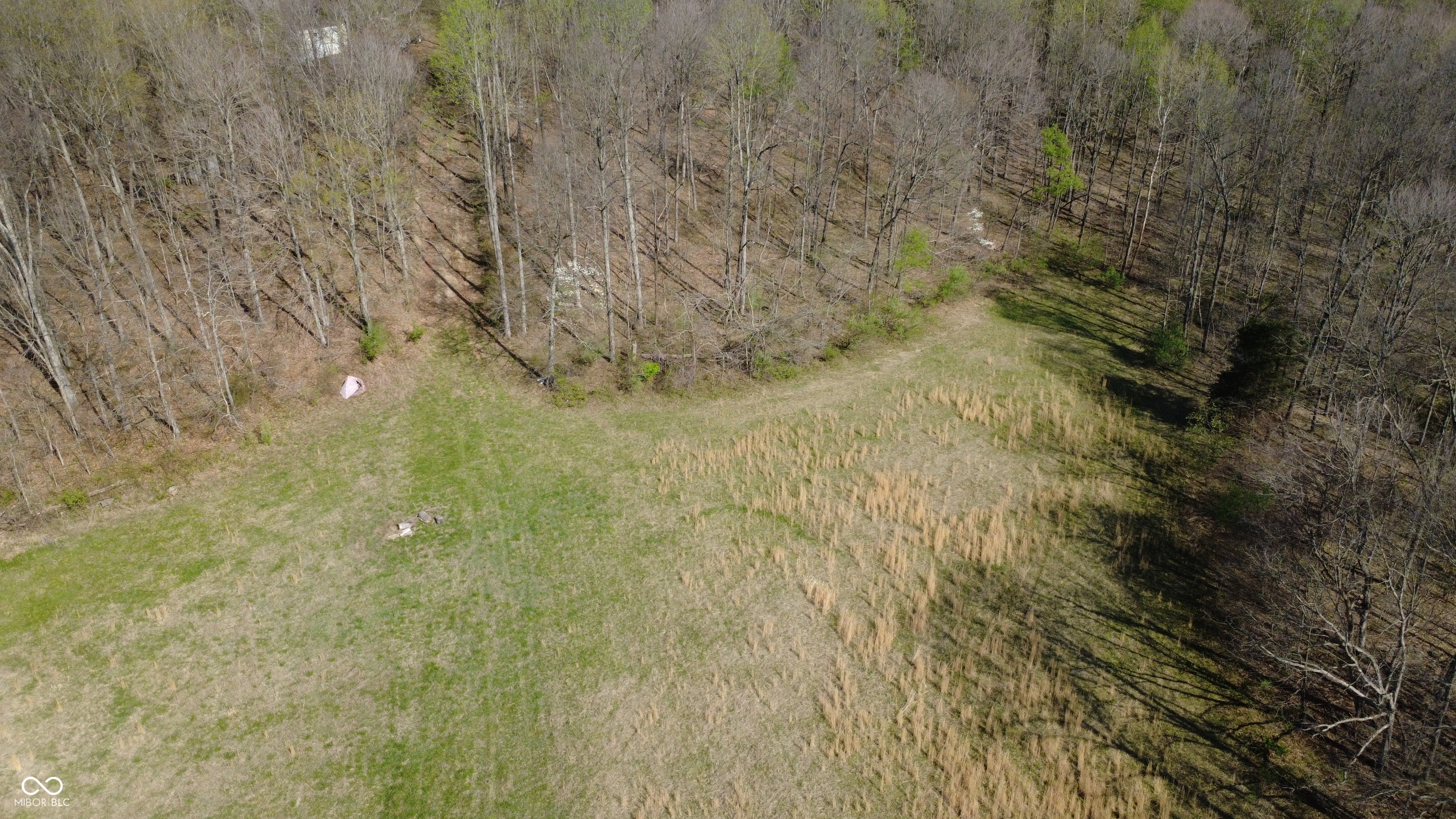 0 Coal Mine Road Bloomfield, IN 47424 - Photo 8 of 16