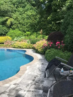 a view of a yard with plants
