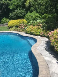 a view of a garden with plants
