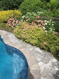 a close up of a flower pot