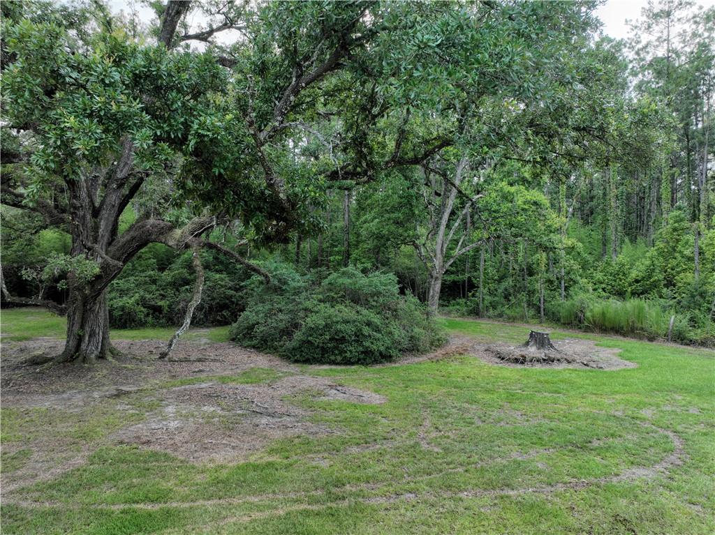 30647 Pea Ridge Road Albany, LA 70711 - Photo 3 of 13