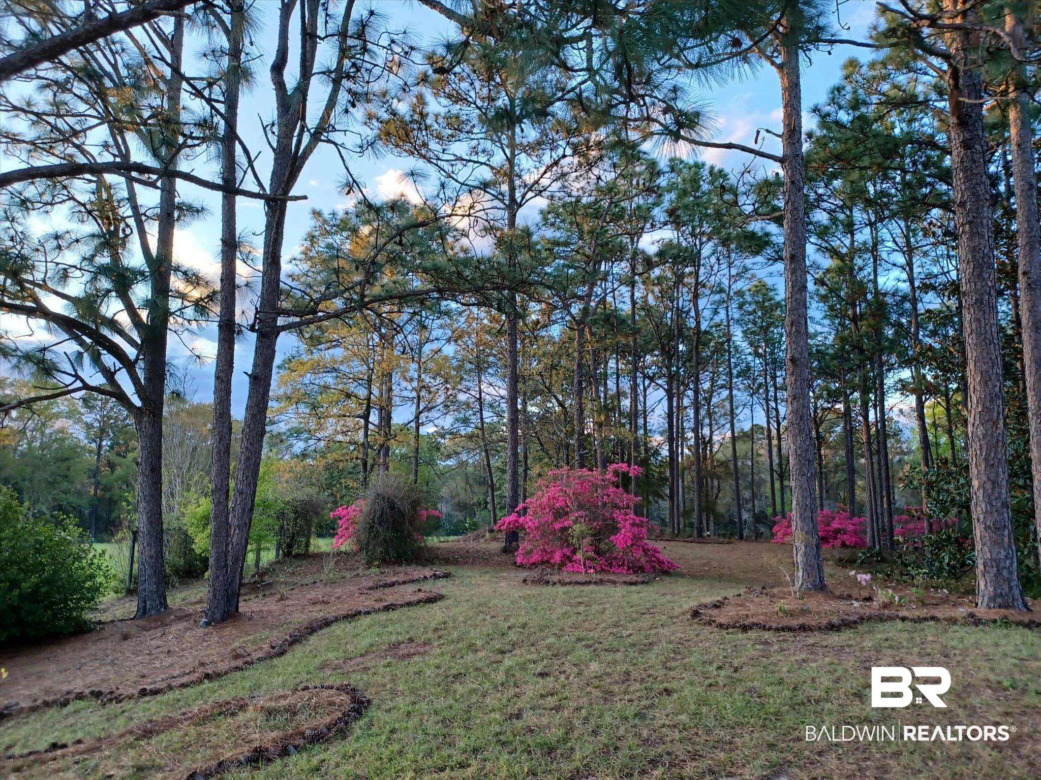 7650 Iron Rush Road Wilmer, AL 36587 - Photo 30 of 34 View of green lawn