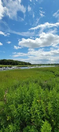 a view of a swimming pool with a lawn chairs and plants