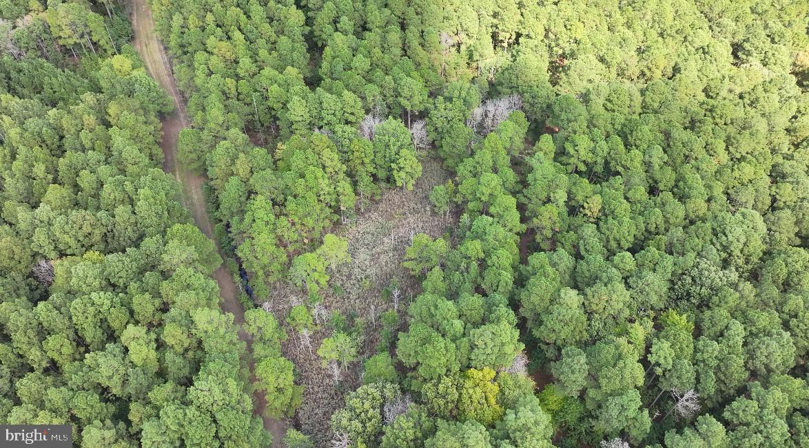 0 Deal Island Road Princess Anne, MD 21853 - Photo 4 of 8